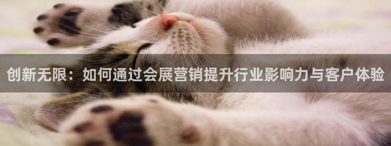 果博app官网下载：创新无限：如何通过会展营销提升行业影响力与客户体验