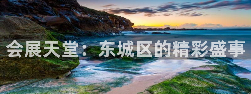 果博官方网：会展天堂：东城区的精彩盛事