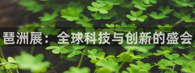 果博官网客服电话号码是多少：琶洲展：全球科技与创新的盛会