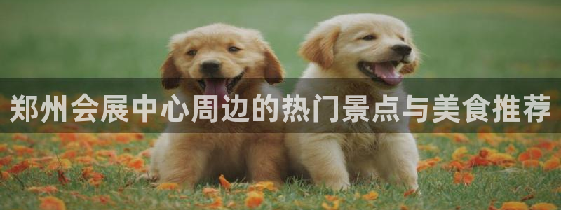 果博怎么注册账号：郑州会展中心周边的热门景点与美食推荐
