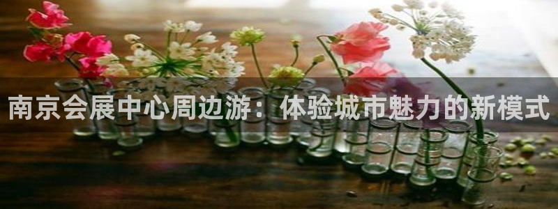 果博公司开户注册：南京会展中心周边游：体验城市魅力的新模式