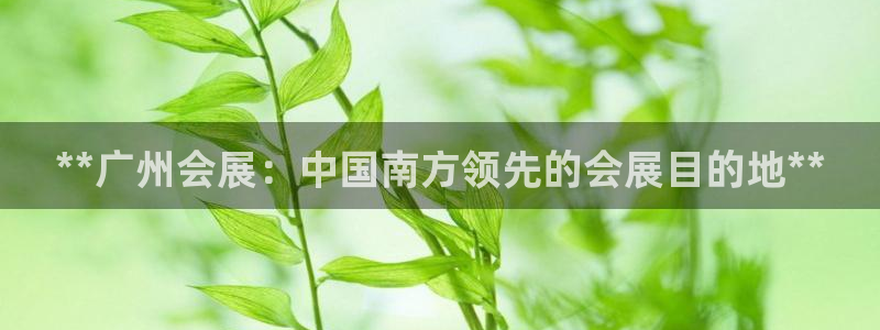 果博官网客服电话号码