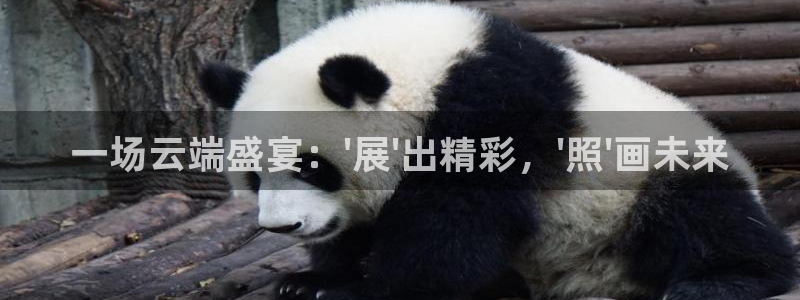 果博东手机版下载开户