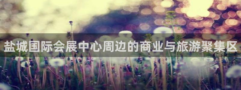果博公司会员注册账号开户：盐城国际会展中心周边的商业与旅游聚集区