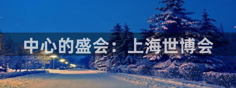 苹果电脑怎么下载博弈大师等软件：中心的盛会：上海世博会