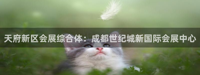 果博注册充值怎么充：天府新区会展综合体：