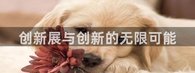 果博平台真实吗知乎推荐：创新展与创新的无