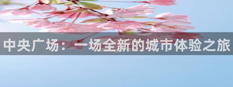 果博管理网：中央广场：一场全新的城市体验
