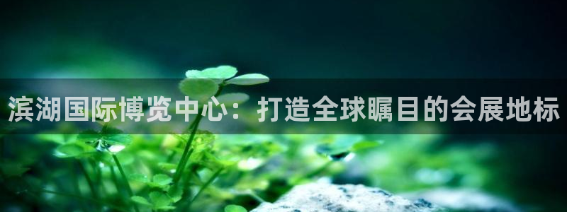 果博平台开户电话号码：滨湖国际博览中心：