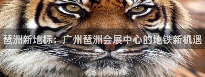 果博注册电话：琶洲新地标：广州琶洲会展中