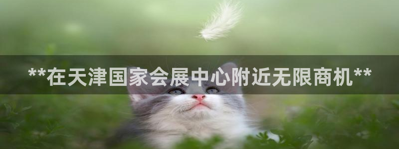 果博平台苹果电脑怎么下载：**在天津国家会展中心附