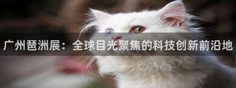 果博怎么注册账号