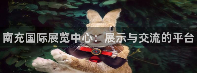 果博代理怎么注册：南充国际展览中心：展示