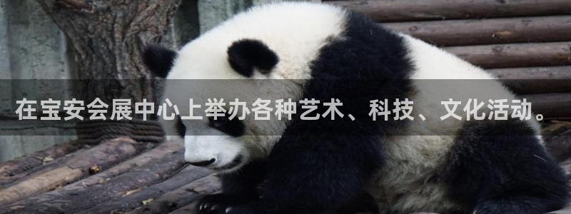 果博平台开户电话