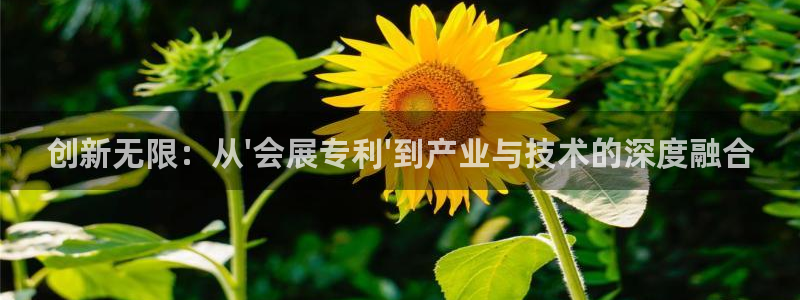 果博平台怎么下载?：创新无限：从\'会展专利\'到产业与技术的深度融合