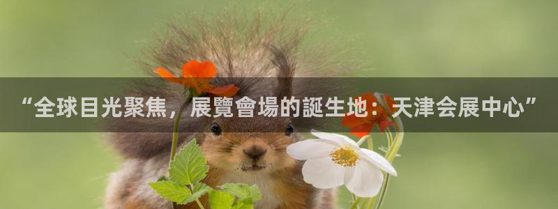 果博公司开户注册：“全球目光聚焦，展覽會