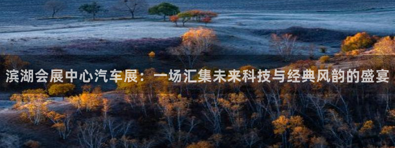 果博手机版官方下载：滨湖会展中心汽车展：一场汇集未来科技与经典风韵的盛宴