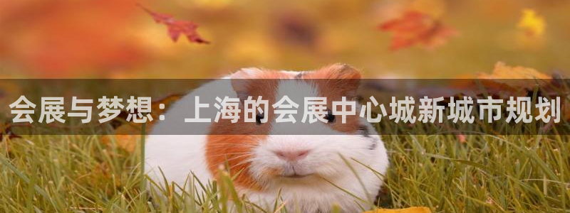 果博官网电话：会展与梦想：上海的会展中心