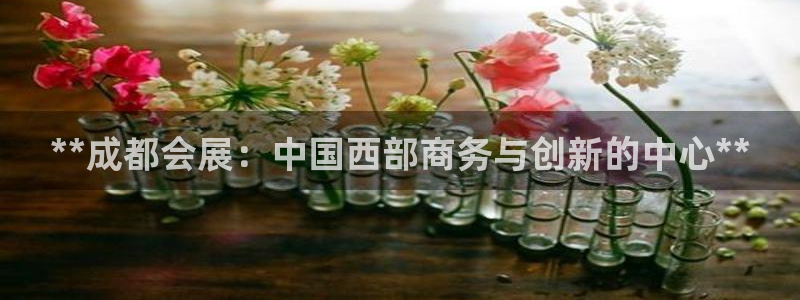 果博公司会员账号开户：**成都会展：中国西部商务与创新的中心**