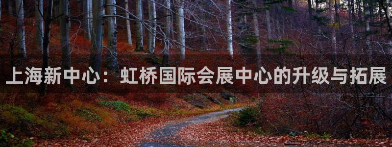 果博公司会员开户：上海新中心：虹桥国际会展中心的升级与拓展