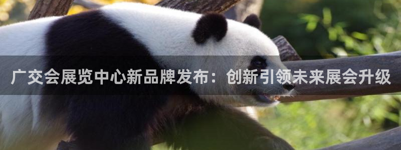 果博平台真实吗安全吗可信吗