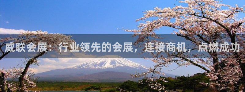 苹果手机能下载果博吗：威联会展：行业领先的会展，连接商机，点燃成功