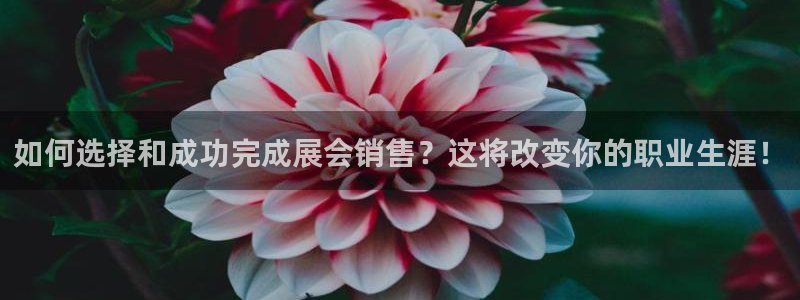 果博注册客服电话是多少：如何选择和成功完成展会销售？这将改变你的职业生涯！