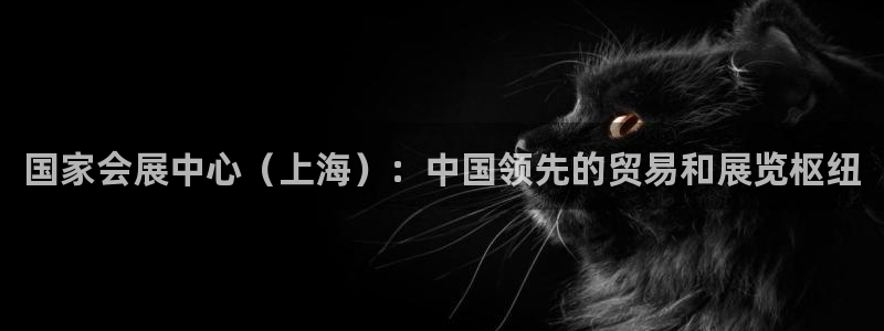 果博平台真实吗安全吗：国家会展中心（上海）：中国领先的贸易和展览枢纽