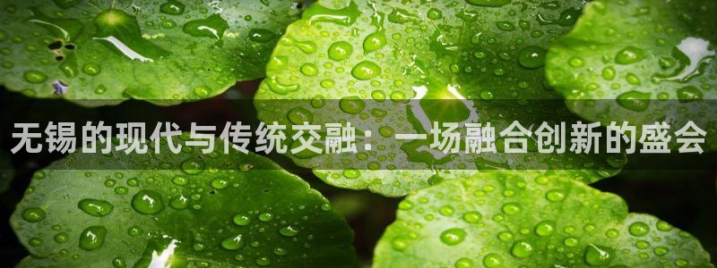 果博公司网站：无锡的现代与传统交融：一场