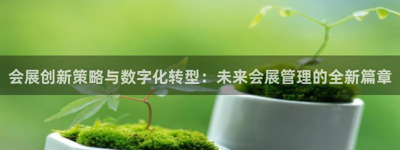 果博平台开户电话号码：会展创新策略与数字