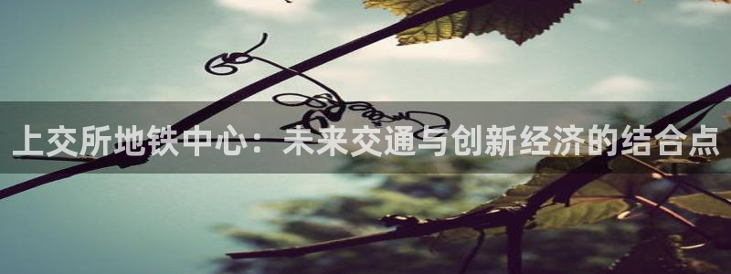 果博注册充值：上交所地铁中心：未来交通与